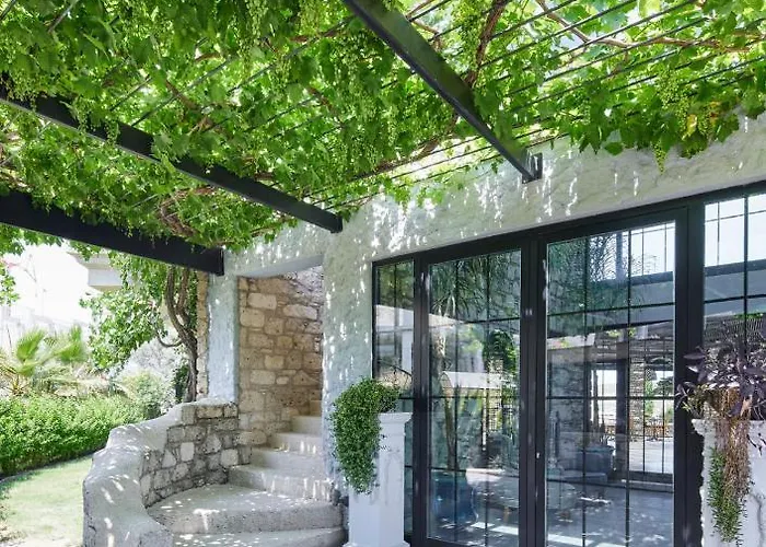 Port Ladera - Adult Only